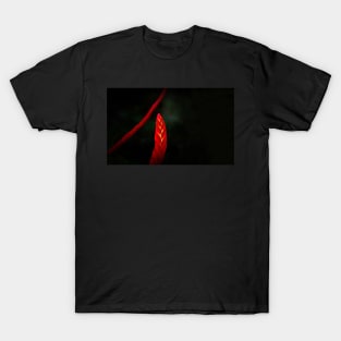 The Flaming Sword T-Shirt